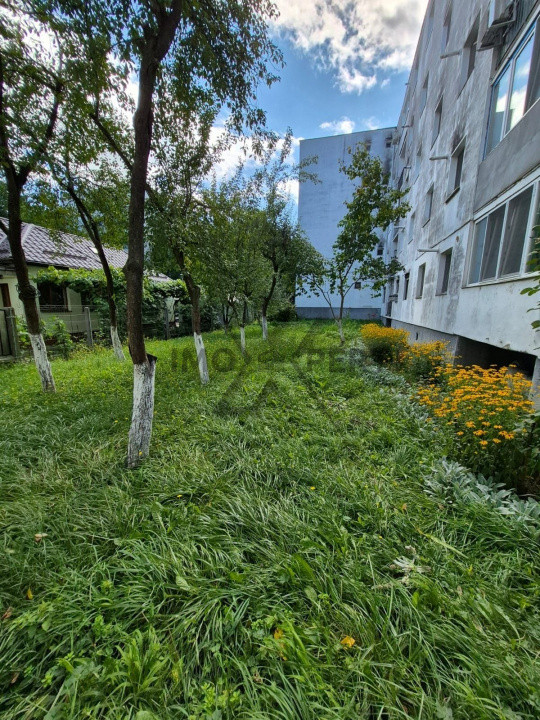 Apartament 3 camere, 65 mp, parter înalt – Mănăștur, zonă verde