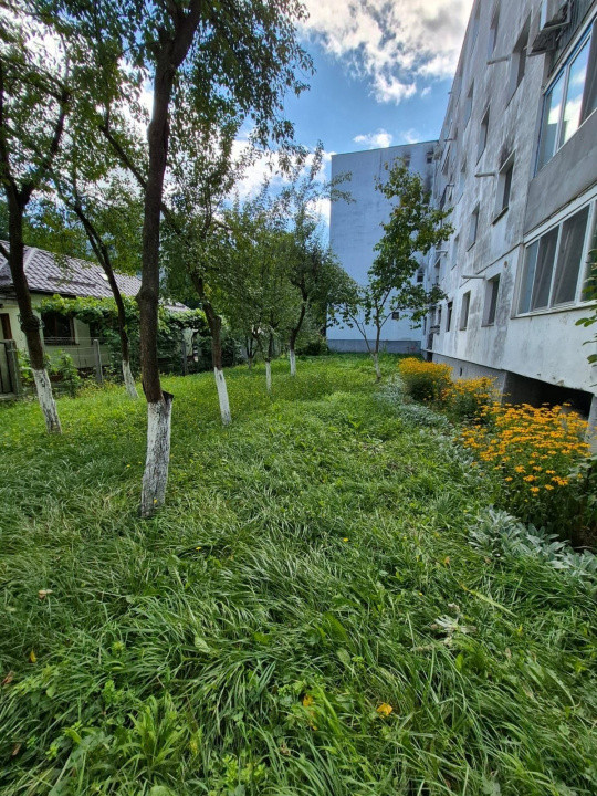 Apartament 3 camere, 65 mp, parter înalt – Mănăștur, zonă verde