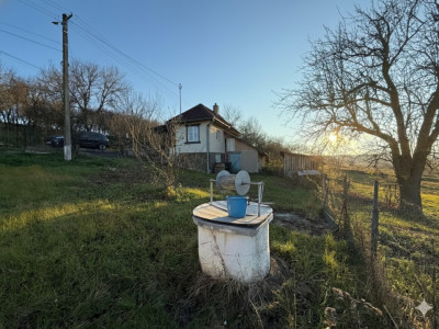 Casa cu teren, 3000mp, la 20 de minute de Cluj, Borsa