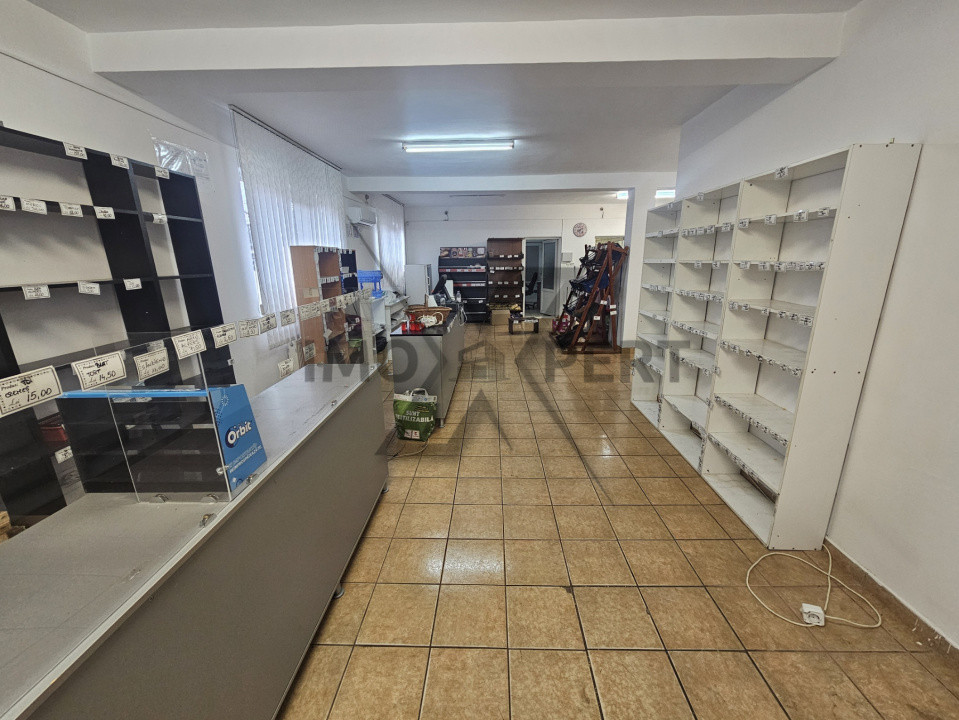 Satiu comercial 100 mp, cu Vad stradal cartier Iris