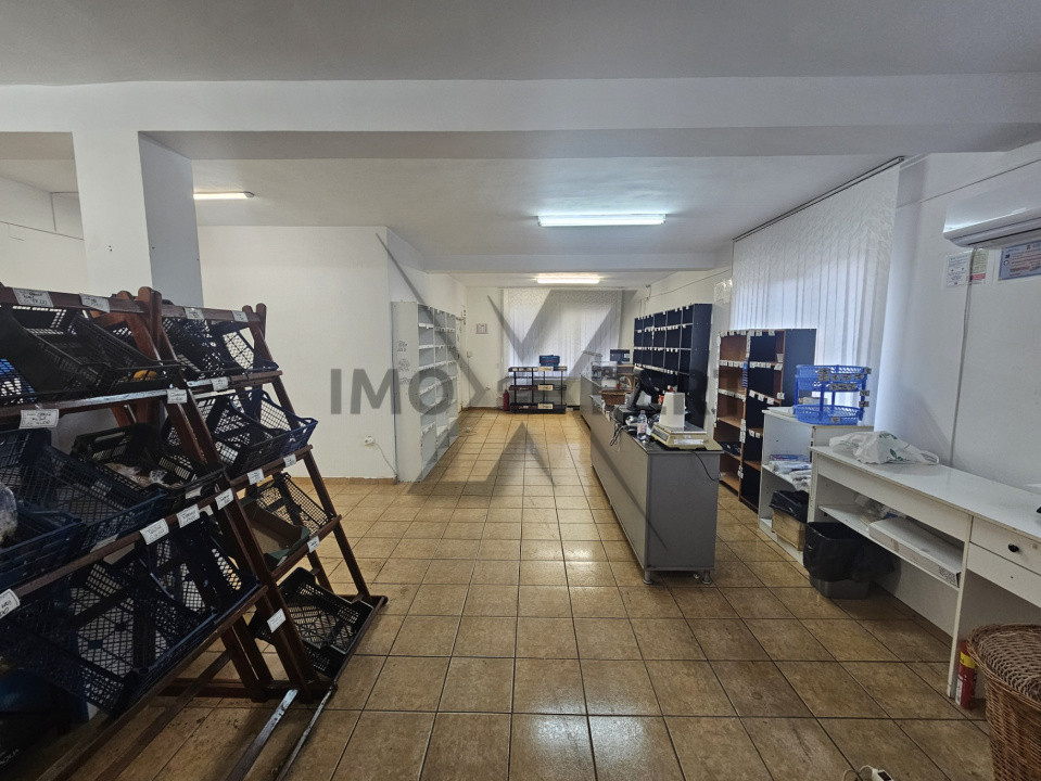 Satiu comercial 100 mp, cu Vad stradal cartier Iris