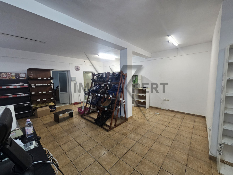 Satiu comercial 100 mp, cu Vad stradal cartier Iris