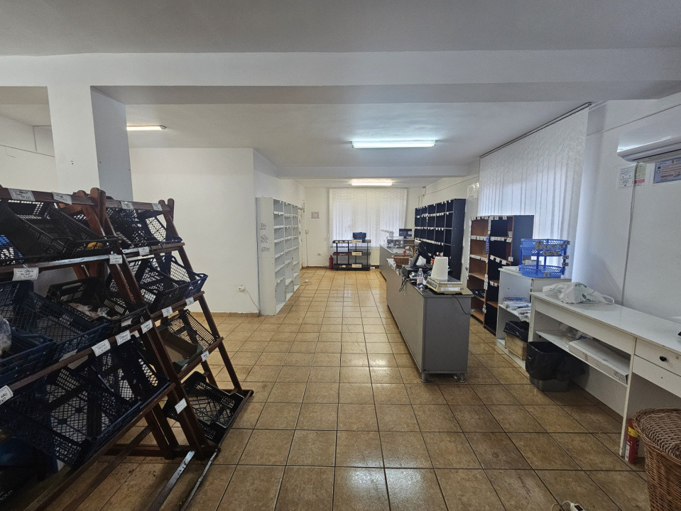Satiu comercial 100 mp, cu Vad stradal cartier Iris