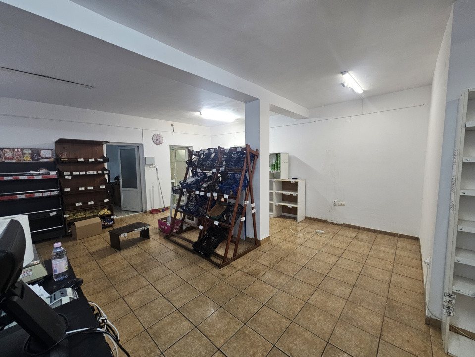 Satiu comercial 100 mp, cu Vad stradal cartier Iris